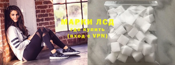 стаф Белокуриха