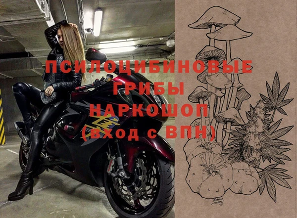 a pvp Беломорск