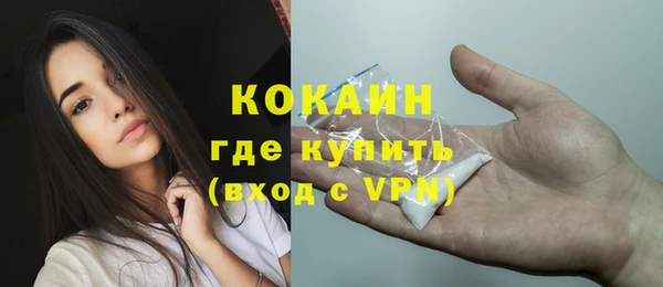 стаф Белокуриха