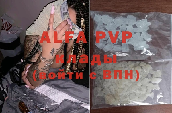 стаф Белокуриха