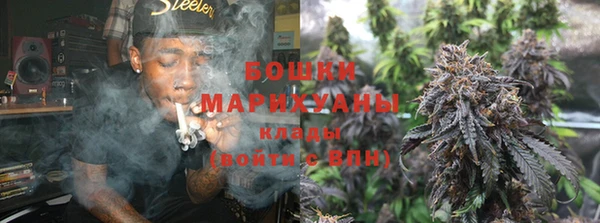 стаф Белокуриха